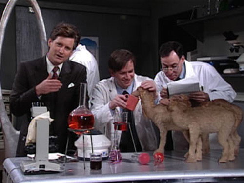 Saturday Night Live - S22E3: Bill Pullman/New Edition