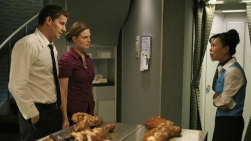 Bones - S4E10: The Passenger in the Oven