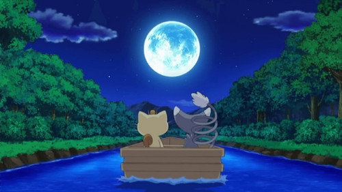 Pokémon - S13E21: For the Love of Meowth!