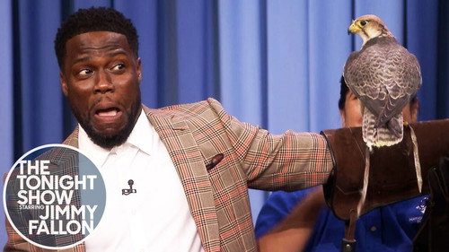 The Tonight Show Starring Jimmy Fallon - S6E11: Kevin Hart/Robert Irwin