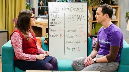 The Big Bang Theory - S11E12: The Matrimonial Metric