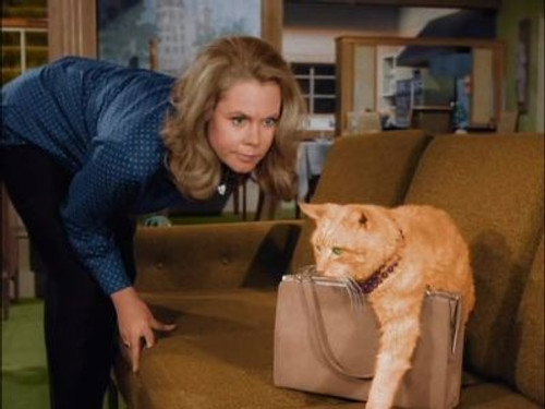 Bewitched - S2E35: The Catnapper