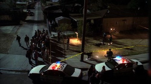 CSI: Crime Scene Investigation - S5E10: No Humans Involved