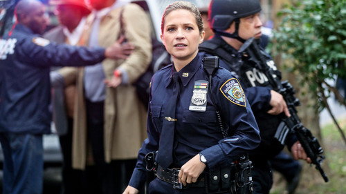 Blue Bloods - S9E9: Handcuffs