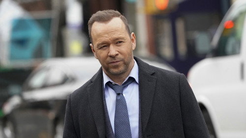 Blue Bloods - S10E17: The Puzzle Palace