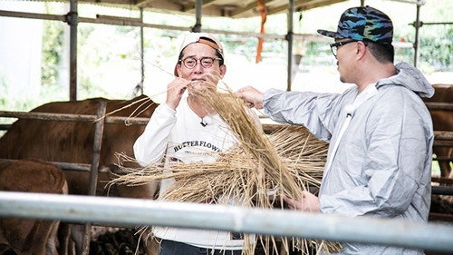 2 Days and 1 Night - S3E463: Farming Activity for Fall + Three Things You'd Take to a Deserted Island (1)