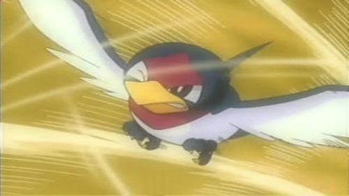 Pokémon - S7E40: That's Just Swellow
