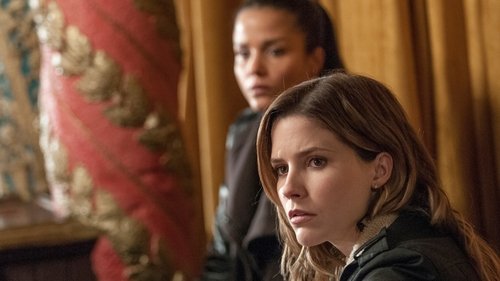 Chicago P.D. - S1E13: My Way