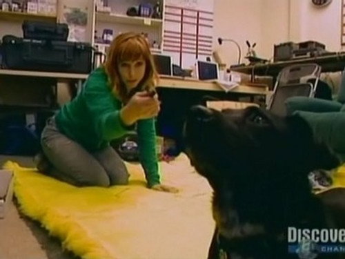 MythBusters - S4E16: Crimes and Myth-Demeanors (2)