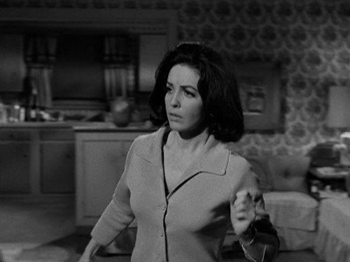 Perry Mason - S9E16: The Case of the Midnight Howler