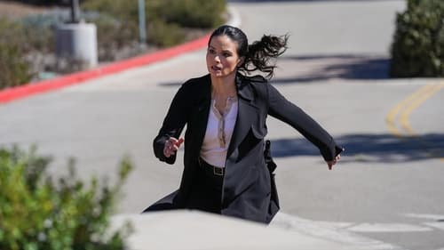 NCIS - S20E19: In the Spotlight