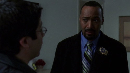 Law & Order - S16E22: Invaders