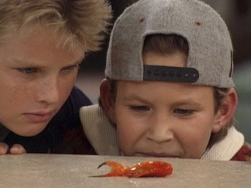 Home Improvement - S2E14: Howard's End