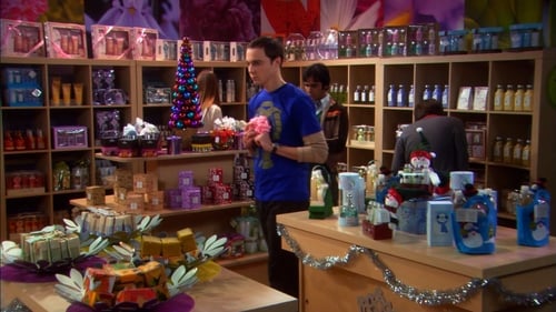 The Big Bang Theory - S2E11: The Bath Item Gift Hypothesis