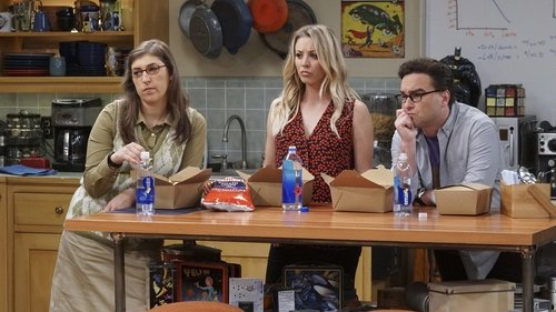 The Big Bang Theory - S10E9: The Geology Elevation