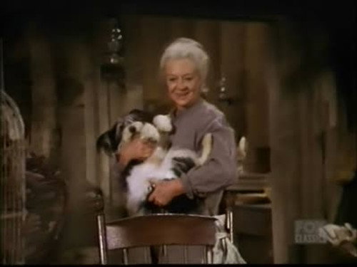 Bonanza - S11E17: The Trouble with Amy