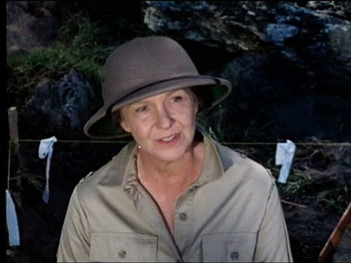 Hawaii Five-O - S10E5: The Descent Of The Torches