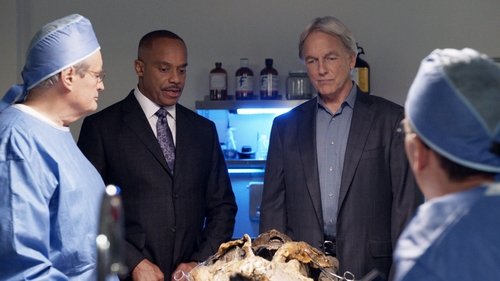 NCIS - S15E8: Voices