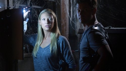 Fringe - S5E2: In Absentia