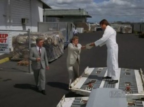 Hawaii Five-O - S4E7: Air Cargo -- Dial For Murder