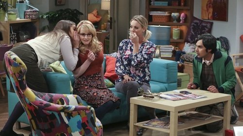The Big Bang Theory - S9E18: The Application Deterioration