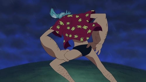 One Piece - S8E261: Clash! Demon-Slasher Zoro vs. Ship-Slasher T-Bone!