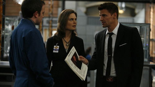 Bones - S3E8: The Knight on the Grid
