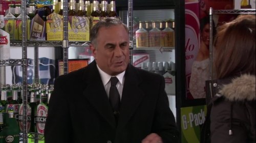 How I Met Your Mother - S4E13: Three Days of Snow