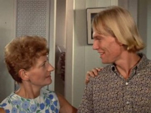 Hawaii Five-O - S2E15: Blind Tiger