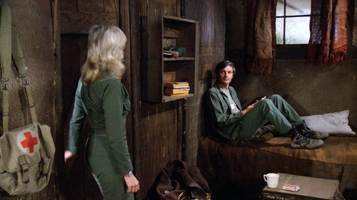 M*A*S*H - S10E20: Picture This
