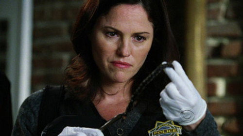 CSI: Crime Scene Investigation - S12E13: Tressed to Kill