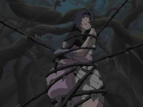 Naruto - S4E205: Kurenai's Top Secret Mission: The Promise with the Third Hokage