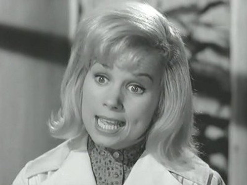 Perry Mason - S7E16: The Case of the Ice-Cold Hands