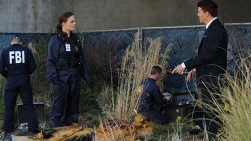 Bones - S8E8: The But in the Joke