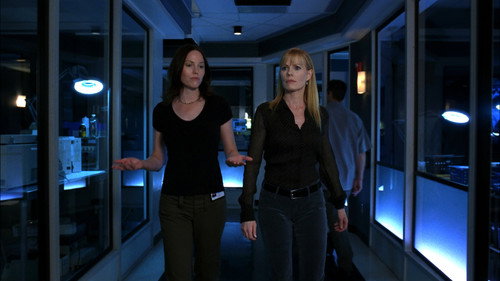 CSI: Crime Scene Investigation - S6E11: Werewolves
