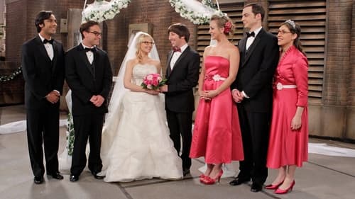 The Big Bang Theory - S5E24: The Countdown Reflection