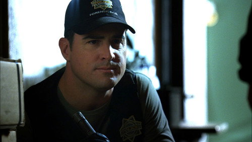 CSI: Crime Scene Investigation - S7E22: Leapin' Lizards