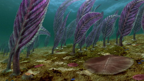 NOVA - S40E16: Australia's First 4 Billion Years: Life Explodes