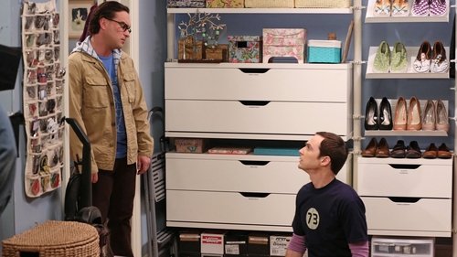 The Big Bang Theory - S6E19: The Closet Reconfiguration