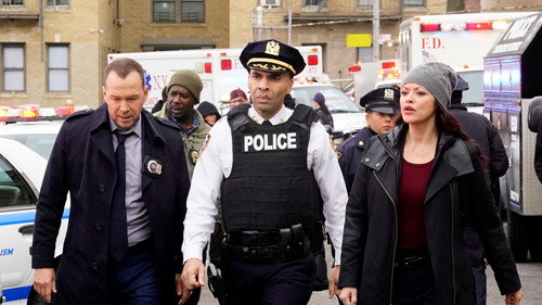 Blue Bloods - S8E14: School of Hard Knocks