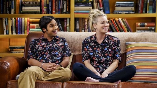 The Big Bang Theory - S10E19: The Collaboration Fluctuation