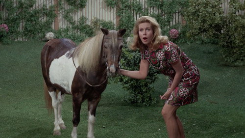 Bewitched - S4E13: Solid Gold Mother-in-Law