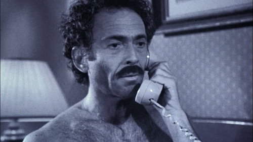 Hill Street Blues - S7E9: Fathers and Guns