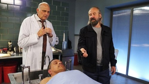 Psych - S8E4: Someone's Got a Woody