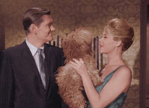 Bewitched - S1E3: It Shouldn't Happen to a Dog