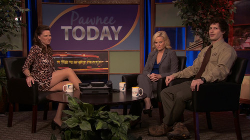 Parks and Recreation - S2E19: Park Safety