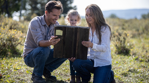 Heartland - S13E9: Fight or Flight