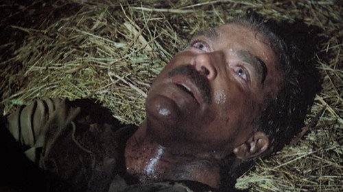 Magnum, P.I. - S7E16: Solo Flight