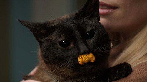 Grimm - S1E22: Woman in Black