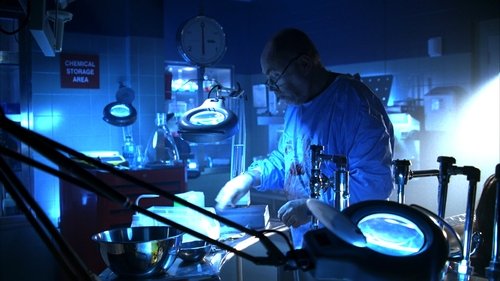 CSI: Crime Scene Investigation - S6E14: Killer